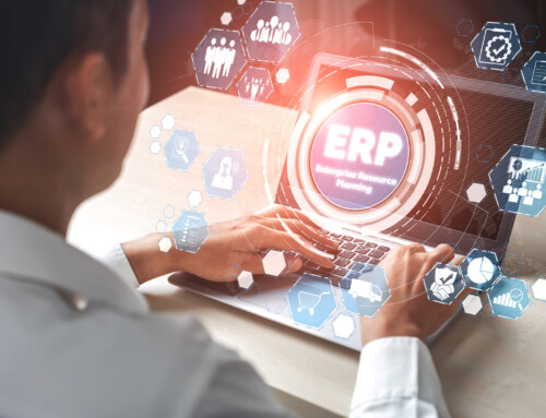Why is ERP Training such an important issue?